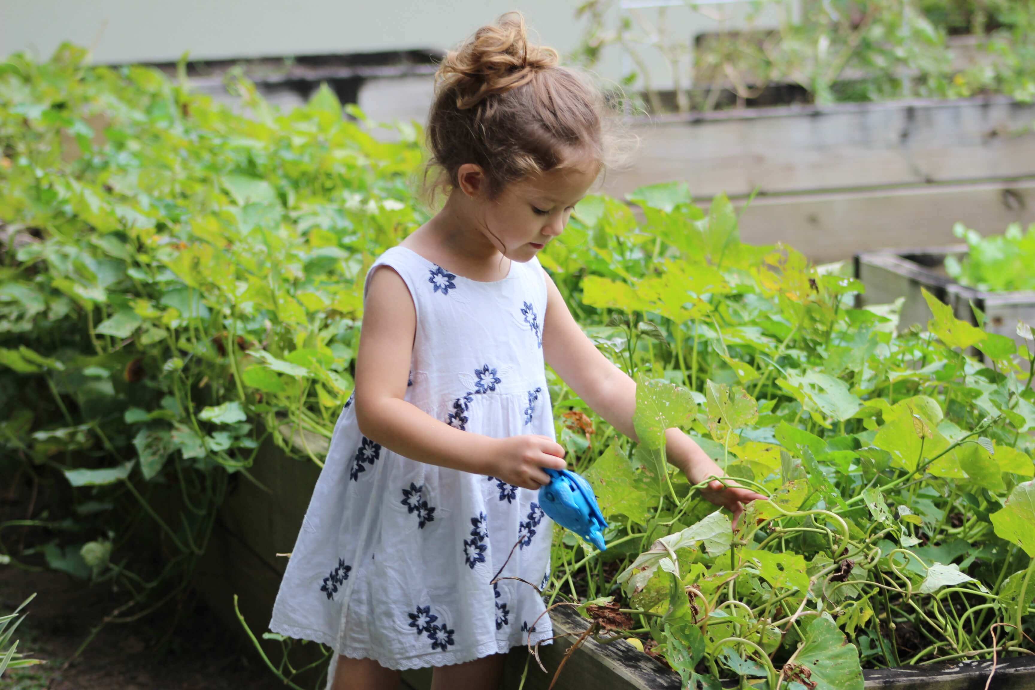 a kid in the garden