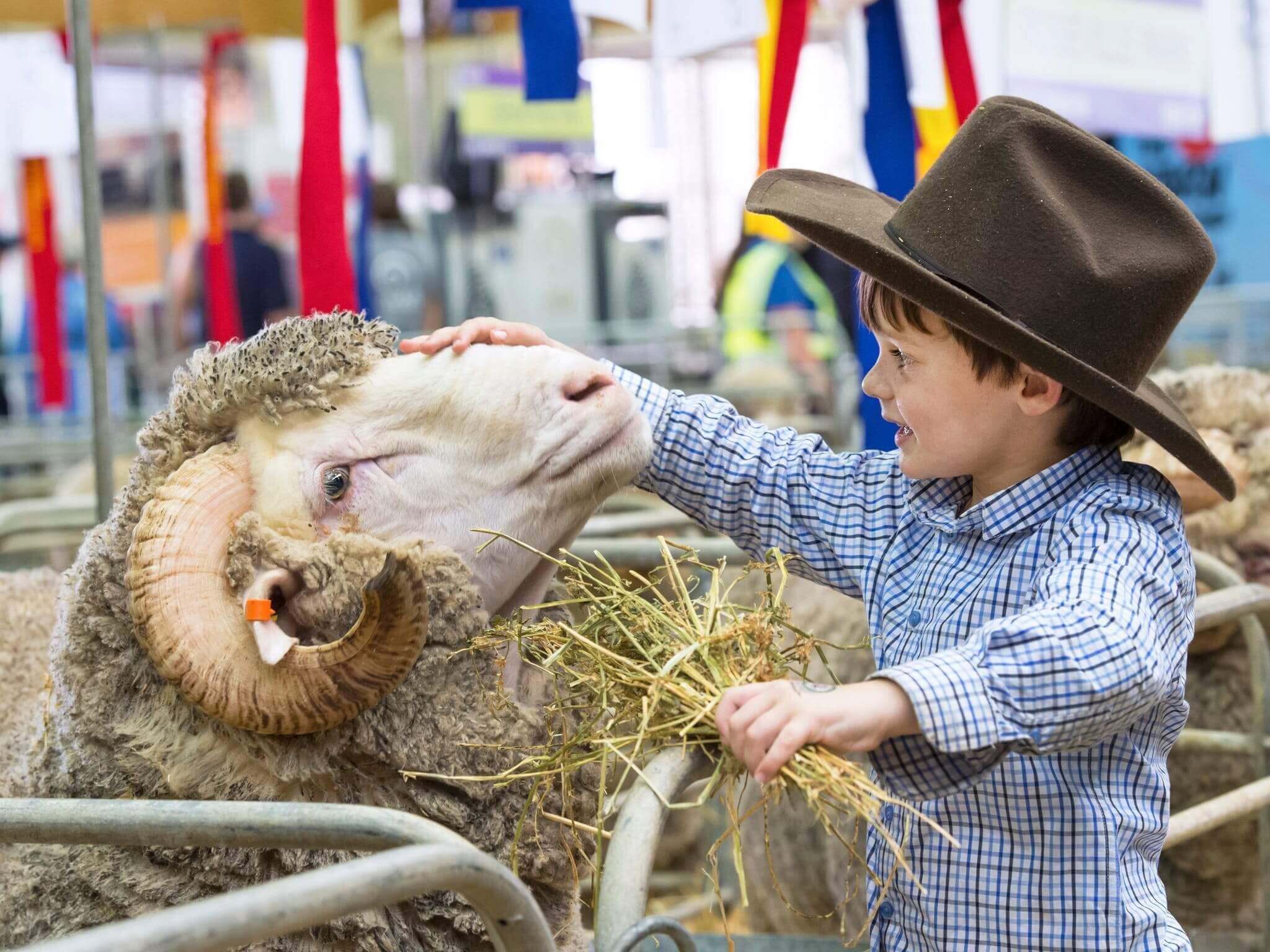 a kid in Sydney Royal Easter Show