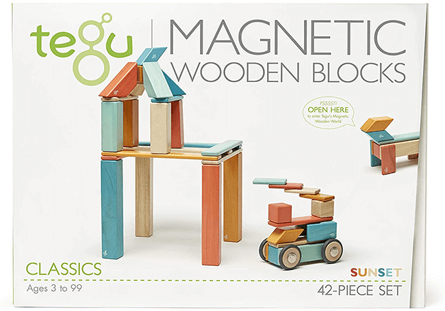 Tegu Magnetic Wooden Block Set